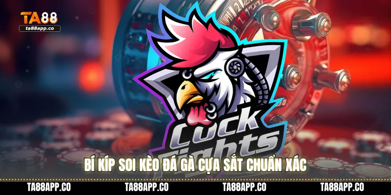Bí kíp soi kèo đá gà cựa sắt chuẩn xác