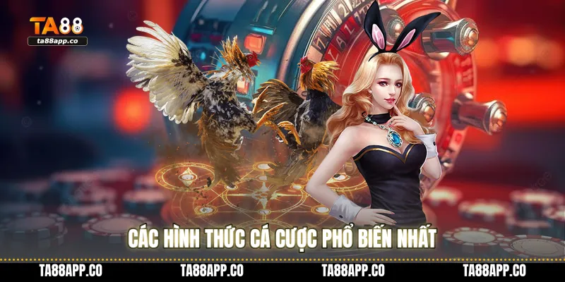 Các hình thức cá cược phổ biến nhất
