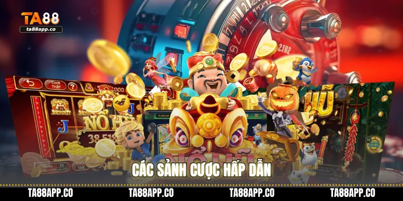 Các sảnh cược hấp dẫn