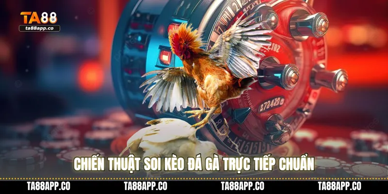 Chiến thuật soi kèo đá gà trực tiếp chuẩn