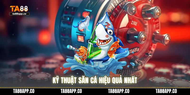 Kỹ thuật săn cá hiệu quả nhất