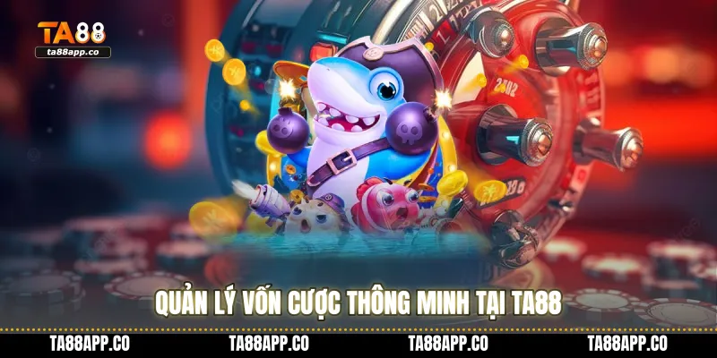Quản lý vốn cược thông minh tại TA88