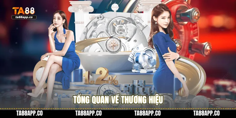 Tổng quan về thương hiệu